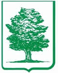 Logo Ixelles